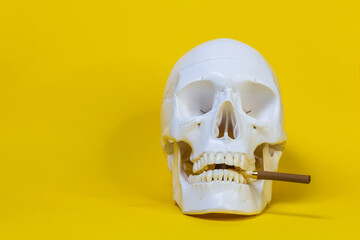 skull of a man with a cigarette bone skeleton,one object,sinister terrible horror,with a cigarette . concept death from nicotine smoking