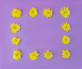 A frame made of fresh dandelion flower heads on lilac background. Minimal spring summer concept for banner or message or card.