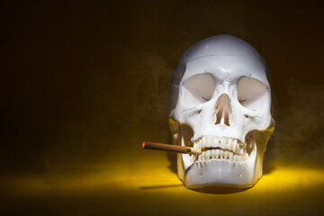 skull of a man with a cigarette bone skeleton,one object,sinister terrible horror, spot light,with a burning cigarette in the smoke. concept death from nicotine smoking