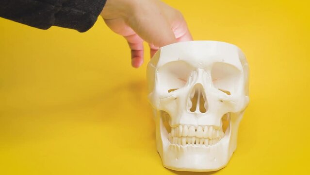 human skull with idea sticker,skeleton head, paper sticker with an inscription,cheerful,light,take out an idea from head, stands on the surface yellow background.concept creative new ideas in head.