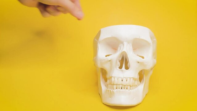 human skull with idea bulb sticker,skeleton head, paper sticker with bulb,cheerful,light,take out an idea from head, stands on the surface yellow background.concept creative new ideas in head.
