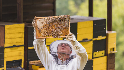 Beekeeper in full protective gear standing in front of beehive boxes, holding and inspecting a frame with comb and bees