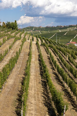Fototapeta na wymiar Langhe vineyards near Barolo Unesco Site, Piedmont, Italy