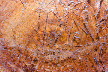 Close up photo texture of frozen and cracked ice on sawn wood surface.