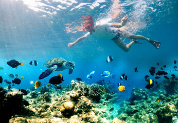 woman snorkeling in clear tropical water with exotic fish and turtle