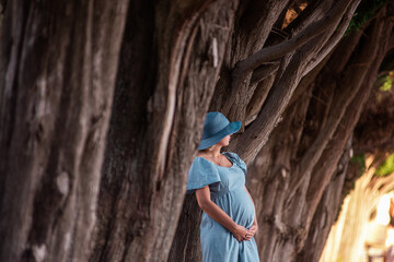 Portrait of middle-aged pregnant woman in denim blue dress, hat. The future mother stands among the huge, brown trees. Travel during pregnancy. Maternity and woman pregnancy concept.
