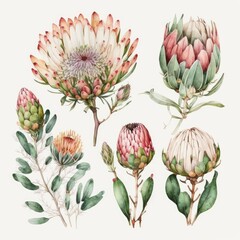 Fototapeta premium collection of flowers