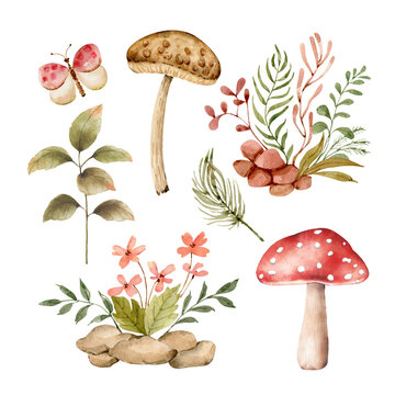 Botanical set with plants insects and mushrooms, watercolor illustrations.