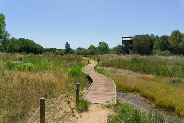 View of the Bóbila wetland in the town of Santpedor