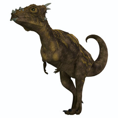 Dracorex the Cute Dinosaur - Dracorex was a herbivorous Pachycephalosaurus dinosaur that lived in the Cretaceous Period of North America.