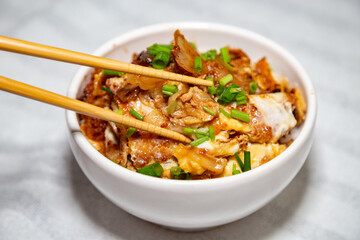 Typical Japanese traditional and famous food, Katsudon or katzu-don