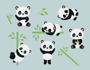 Fototapety  Cute panda set. Animal collection with bamboo, activity and playful character with tree. Asian mammal, fauna, flora and wild life. Cartoon flat vector illustrations isolated on blue background