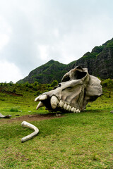 Shot of the prop piece from the King Kong movie at the Kualoa Ranch in Hawaii