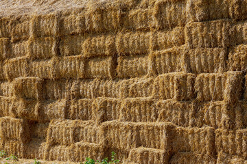 Lots of straw bales. Dry stalks of cereals and legumes. Agricultural waste.