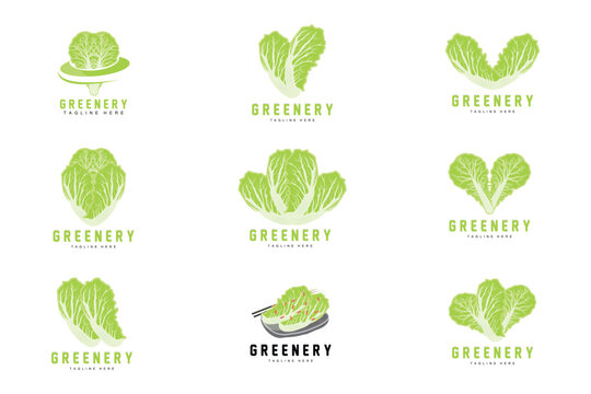Chinese cabbage Logo Design Green Plant Vector Kimchi Food Ingredients