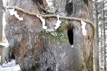 玉置神社：奈良県⁩ ⁨吉野郡 十津川村⁩ © Tsuyoshi