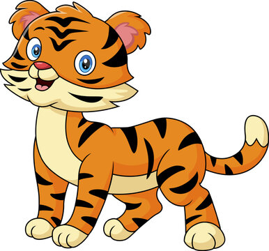 Cute tiger cartoon on white background
