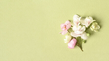 Spring Banner. White Flowers bouquet on light green background. Birthday, Mother's Day greeting card. Copy space.