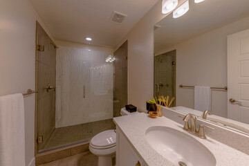 Bathroom interior with shower stall with white and brown wall tiles behind the clear glass. There is a sink on the left with mirror near toilet beside the shower stall with wall-mounted showerhead.