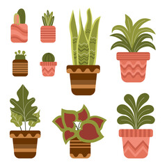 Decorative home plants.Set of houseplants. Indoor plant in flowerpot.