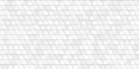 Fototapeta na wymiar Abstract geometric background. Gray polygonal vector with grid