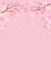 ピンクの桜の背景イラスト
