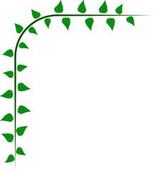 Leaf floral decorative ornament illustration