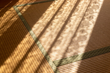 部屋の畳に落ちたカーテンの影