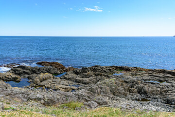 根室花咲岬を歩く
