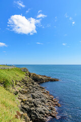 根室花咲岬を歩く
