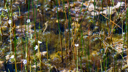 Everglades National Park in Florida