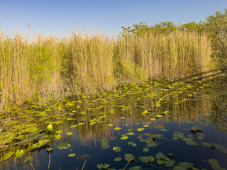 Everglades National Park in Florida