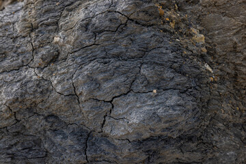 Rocky shapes on the beach. textures and patterns generated on the stones of the Ibiza.