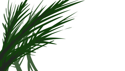 Green grass plant illustration background