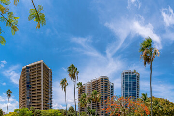 Fototapeta na wymiar Modern apartments in Miami Beach Florida with vast blue sky background. High rise glass residential buildings in the city with trees and lush green foliage in foreground.