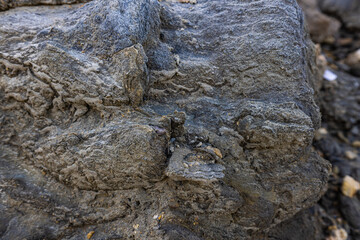 Rocky shapes on the beach. textures and patterns generated on the stones of the Ibiza.