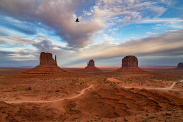 monument valley sunset with bird flying