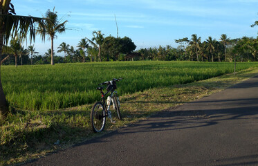 Cycling in the morning enjoying the beauty of the village