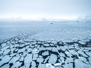 Vast sea ice
