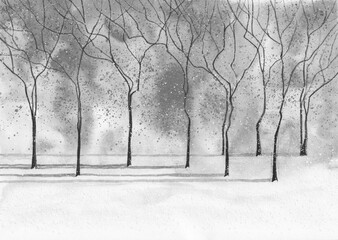Black and white Winter Nature landscape. Trees with leaves in snow. Artistic nature background. Watercolor painting on textured paper. - 575811791