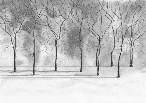 Black and white Winter Nature landscape. Trees with leaves in snow. Artistic nature background. Watercolor painting on textured paper.