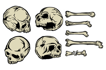 Skull Set Vector illustration, Anatomical bones Set