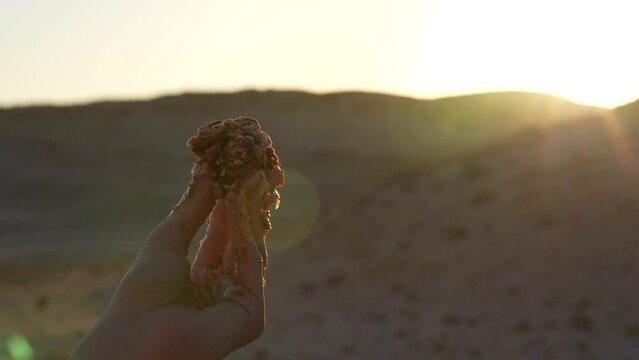 Showing sweet desserts ball in sunset in the desert