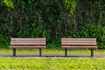 Wooden bench in the park