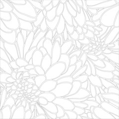 Magical Japanese chrysanthemum flowers. Adult colouring page. Cartoon linear doodle coloring poster. Vector line art illustration.