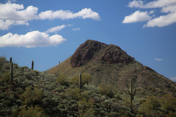 Arizona