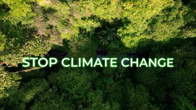 Dense Forest Trees In Sunlight With Stop Climate Change Motivational Text. aerial topdown, after-effects