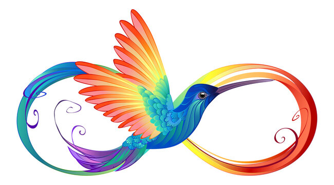 Rainbow Hummingbird with Infinity