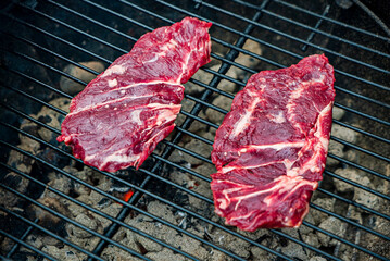grilled steaks on the grill