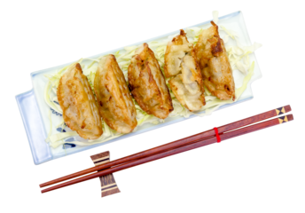 fried dumplings or gyoza isolated